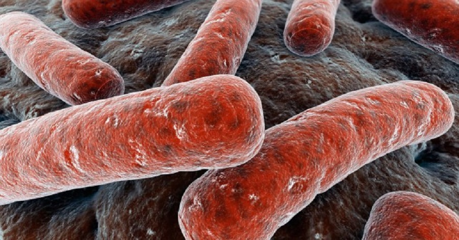 Tos y flemas por más de 15 días pueden ser los síntomas de tuberculosis